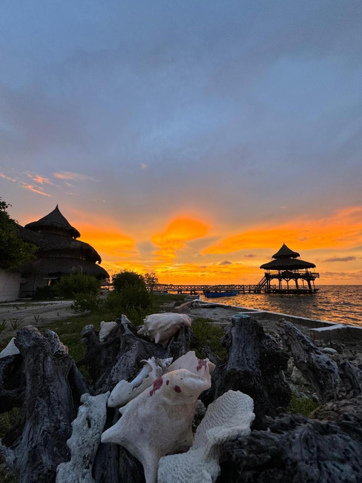 Отель El Embrujo Tintipan Tintipan Island Экстерьер фото