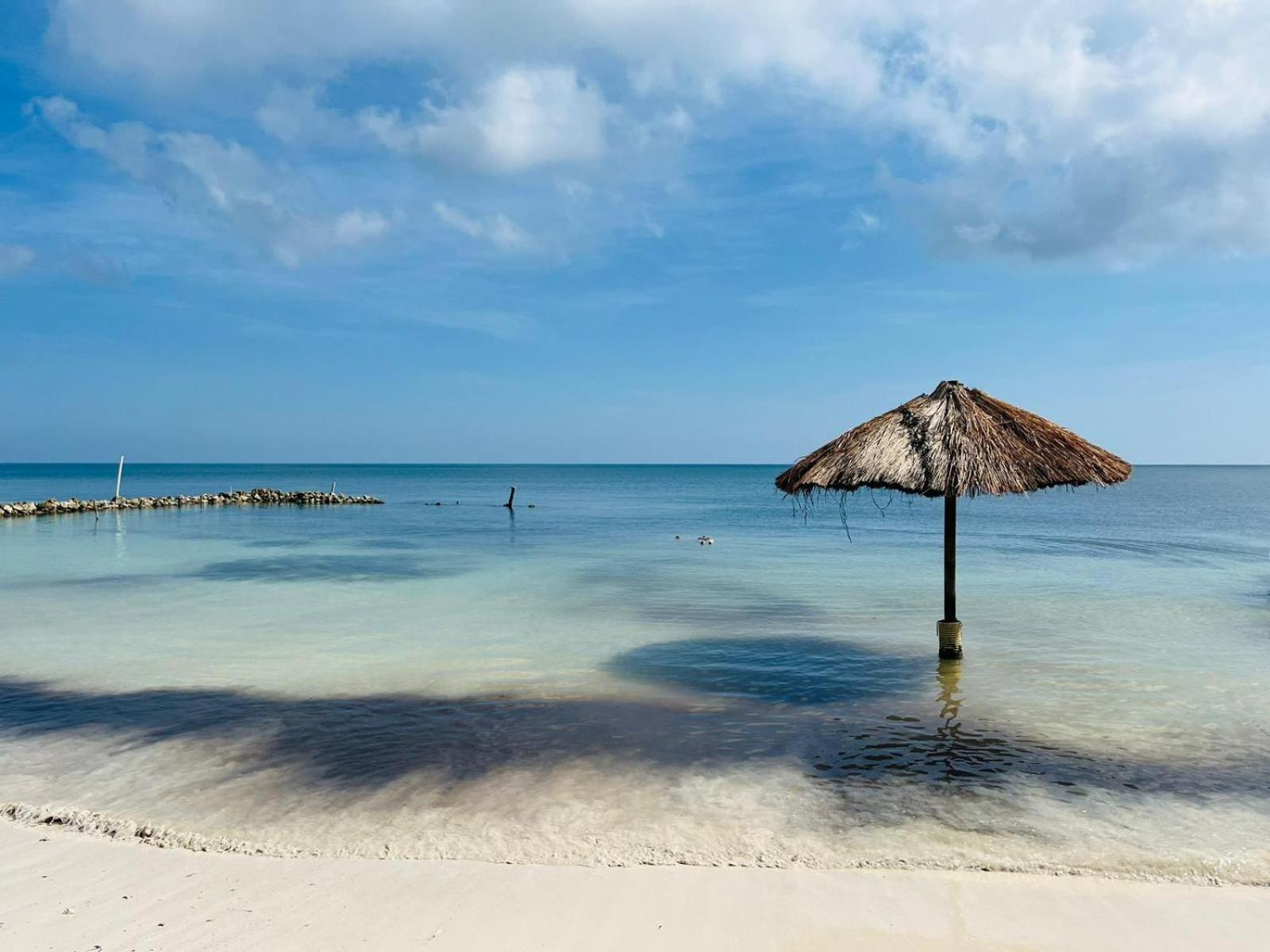 Отель El Embrujo Tintipan Tintipan Island Экстерьер фото